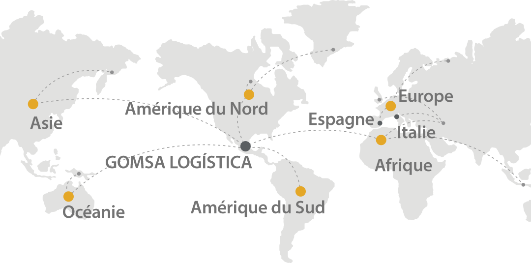 Solutions de Logistique Intégrale, Logistique de projets 