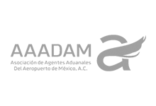asociacion deagentes aduanales del areopuerto de mexico